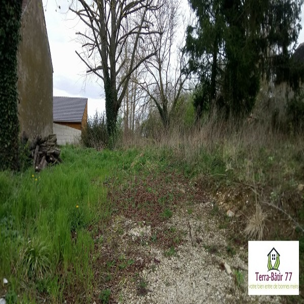 Offres de vente Terrain Thoury-Férottes 77940