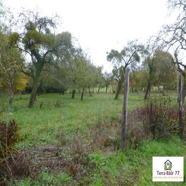 Offres de vente Terrain Montmachoux 77940