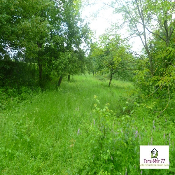 Offres de vente Terrain Paley 77710